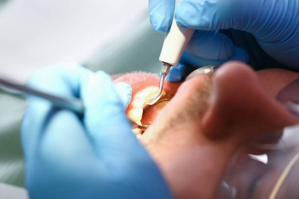 Best Orthodontic Emergency Dentist in Coloma, MI